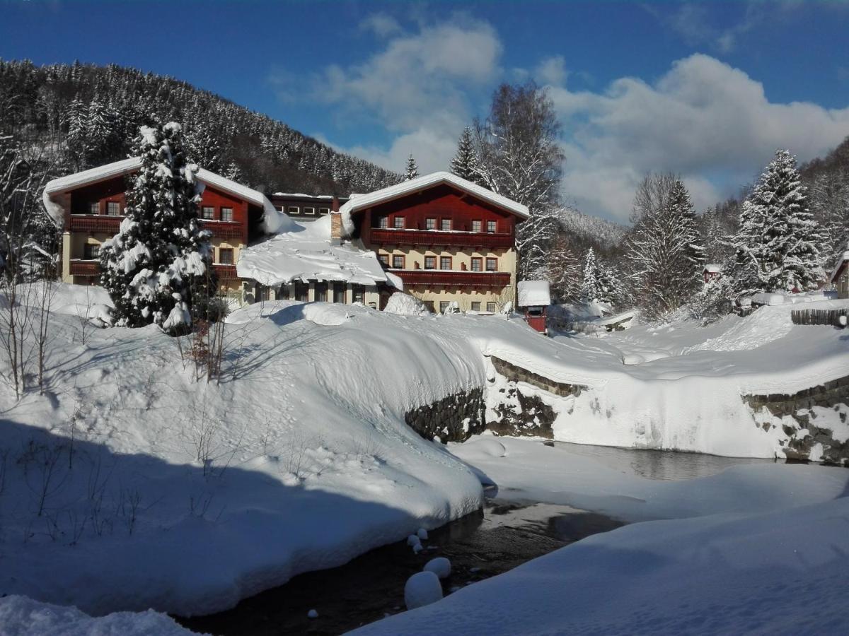 Rodinny "Hotel U Mustku" Desná Buitenkant foto