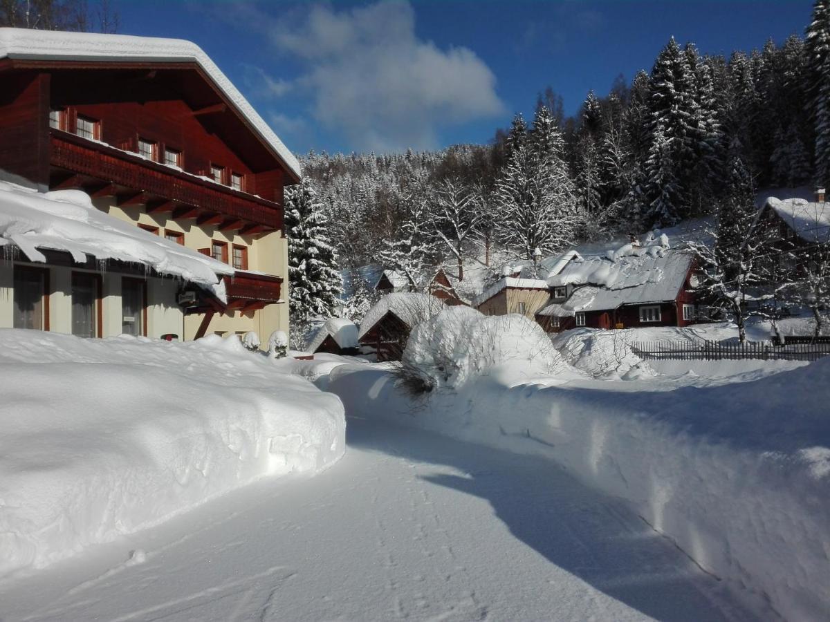 Rodinny "Hotel U Mustku" Desná Buitenkant foto